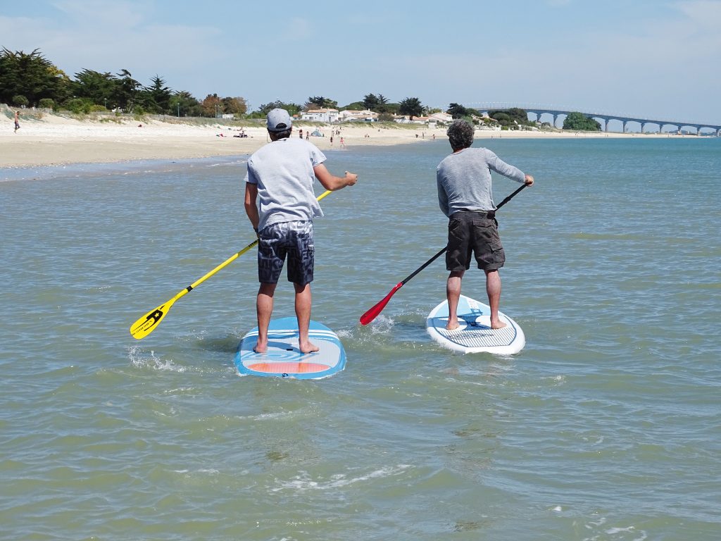 Paddle - Activités nautiques